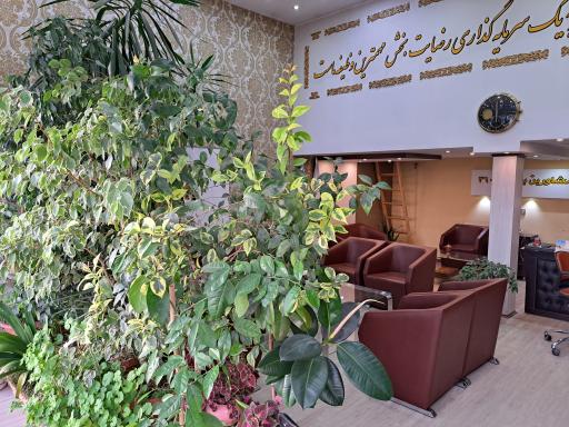 عکس باغ ویلا ۳۶۰