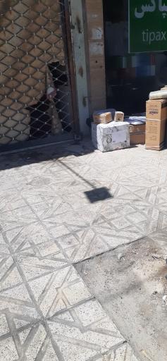 عکس دفتر تیپاکس