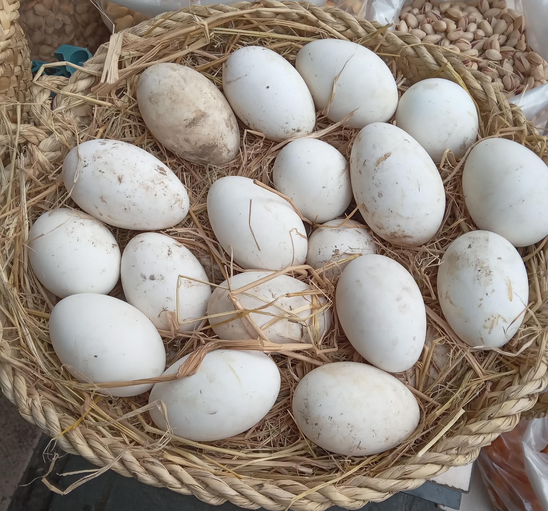 عکس گیلان سهراب