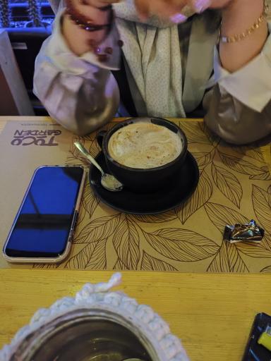 عکس رستوران توکو گاردن