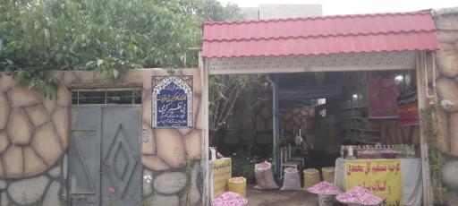 عکس فرخد