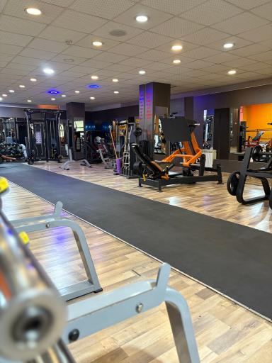 عکس باشگاه بدنسازی ارسس