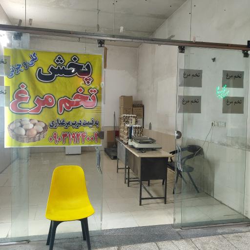 عکس پخش تخم مرغ