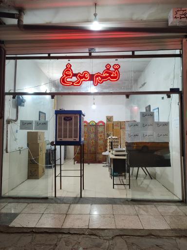 عکس پخش تخم مرغ