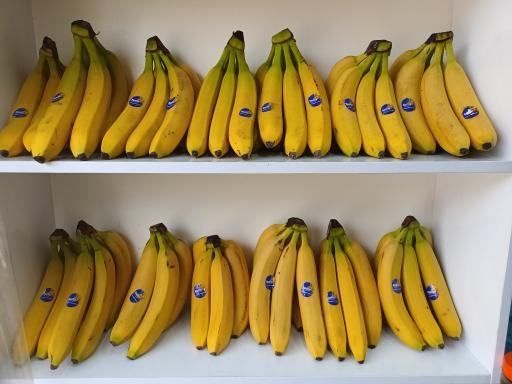 عکس هایپر میوه رضا