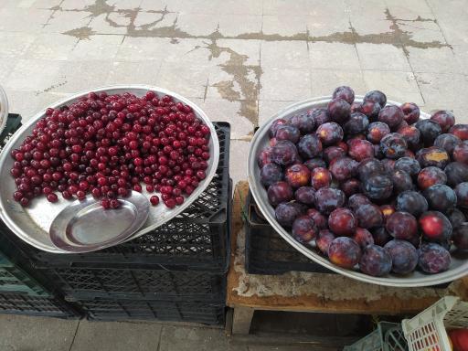 عکس سوپر میوه تک