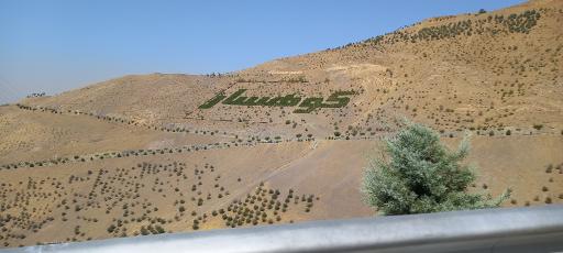 بوستان جنگلی کوهسار