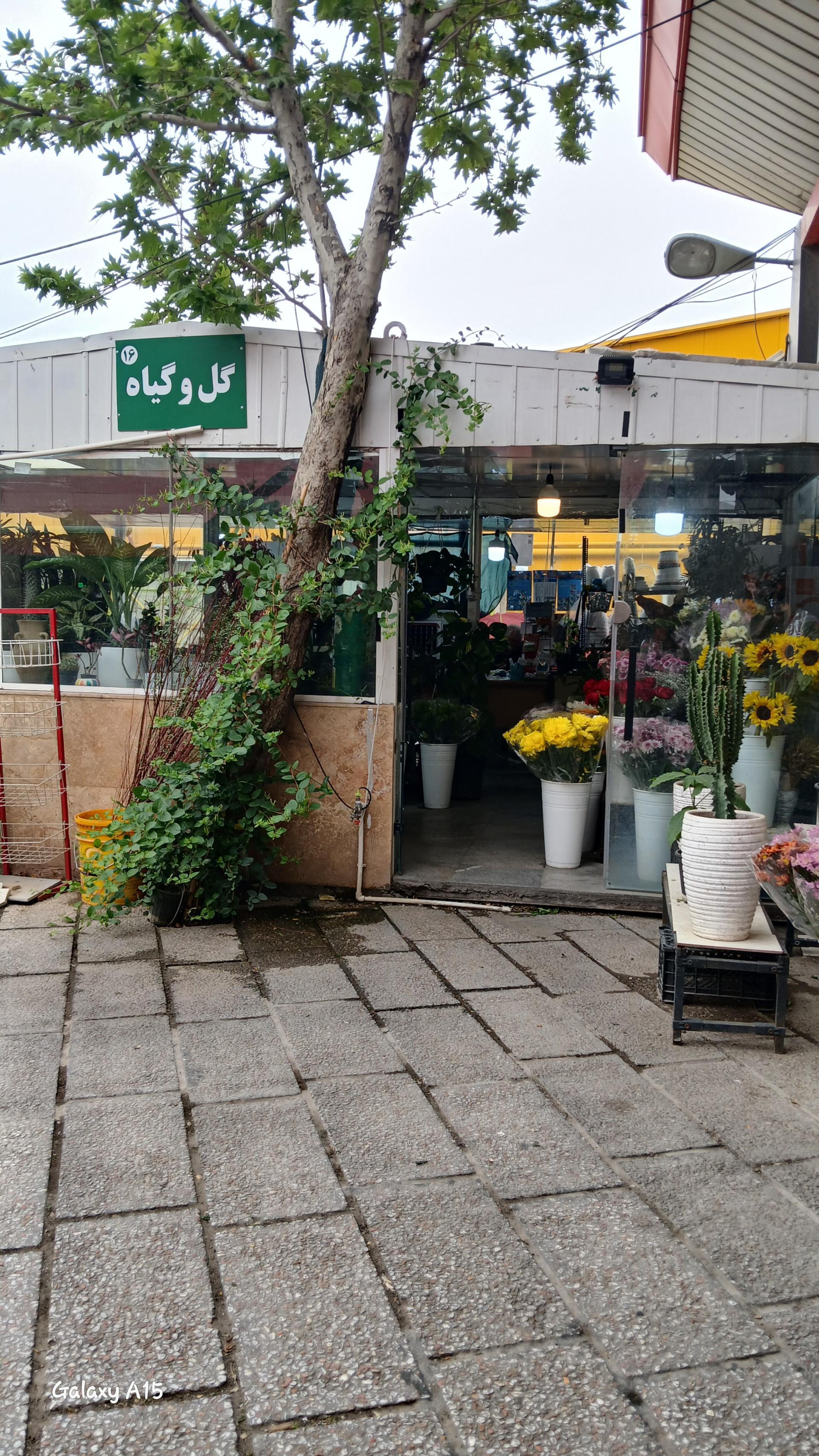 عکس غرفه گل و گیاه 
