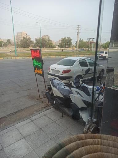 عکس تخمه سانی