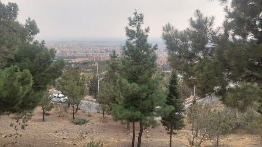 عکس بوستان جنگلی کوهسار