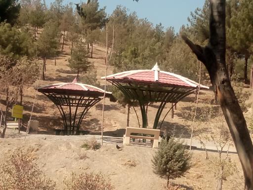 عکس بوستان جنگلی کوهسار