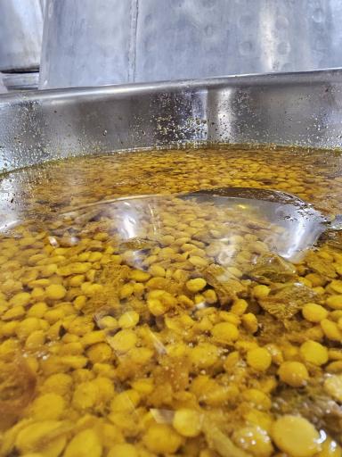 عکس حلیم نیشابوری خیام