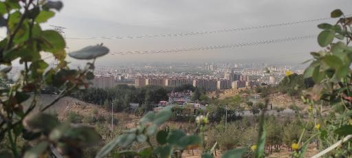 عکس بوستان جنگلی کوهسار
