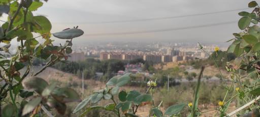 عکس بوستان جنگلی کوهسار