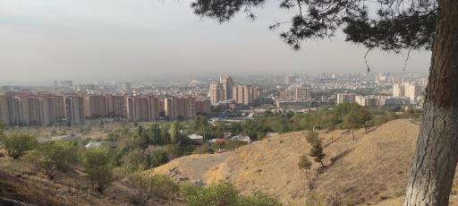 عکس بوستان جنگلی کوهسار