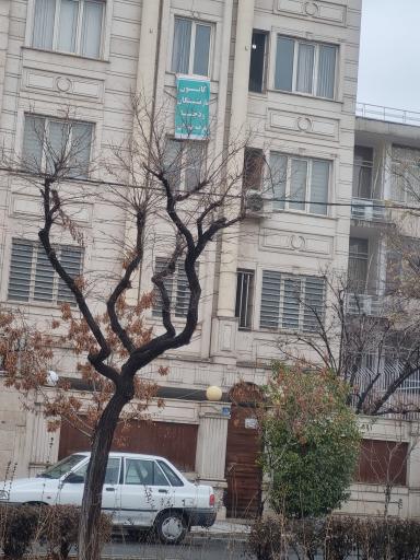 عکس کانون بازنشستگان ودجا غرب تهران 