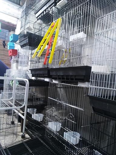 عکس فروشگاه قفس طلایی