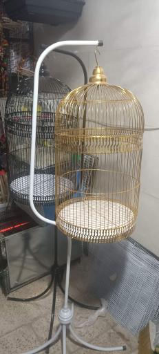 عکس فروشگاه قفس طلایی