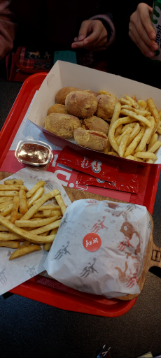 عکس فست فود آدیش