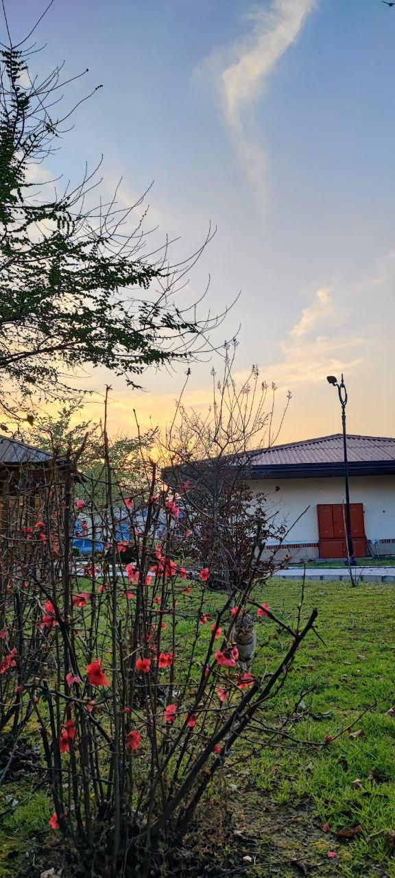 عکس باغ بانوان ساری