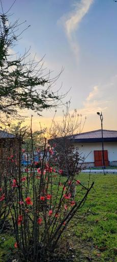 عکس باغ بانوان ساری