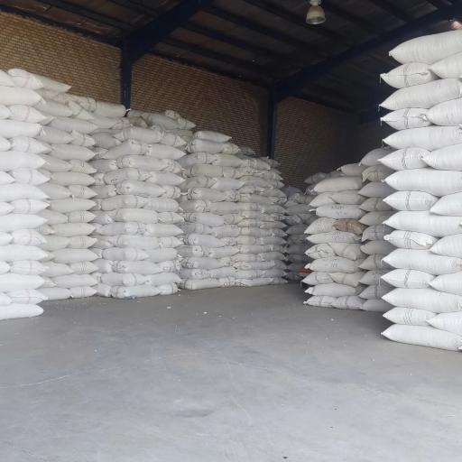 عکس پسته و خشکبار شیربیگی