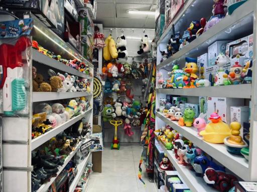 عکس فروشگاه اسباب بازی کیمیا