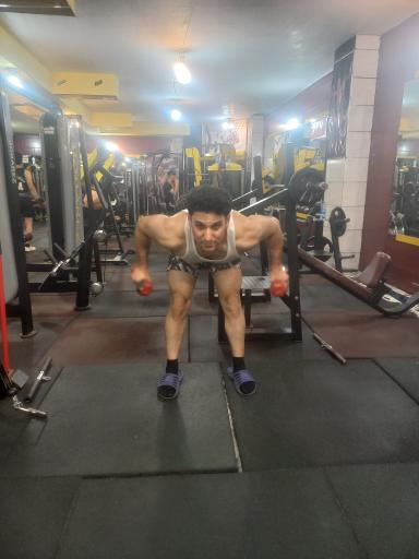 باشگاه بدنسازی حبیب