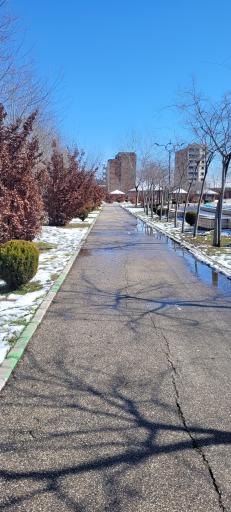عکس باغ بانوان ساری