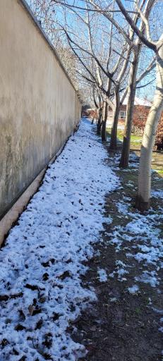 باغ بانوان ساری