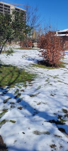عکس باغ بانوان ساری