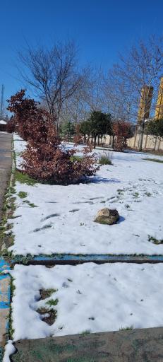 عکس باغ بانوان ساری