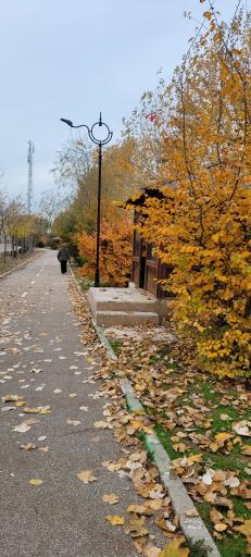 عکس باغ بانوان ساری