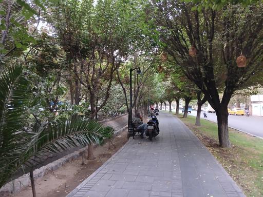 عکس پارک لاله