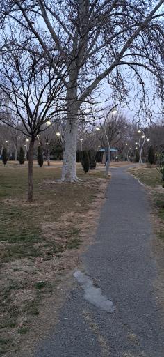 عکس پارک لاله