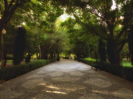 عکس پارک لاله