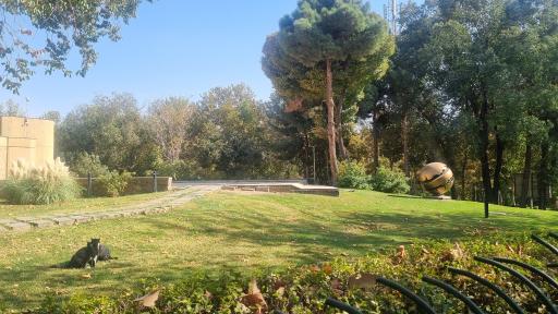 عکس پارک لاله