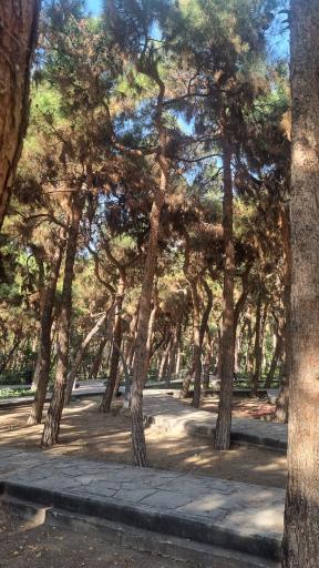 عکس پارک لاله