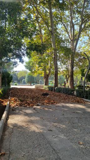 عکس پارک لاله