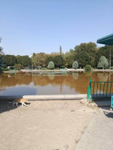 عکس بوستان لاله