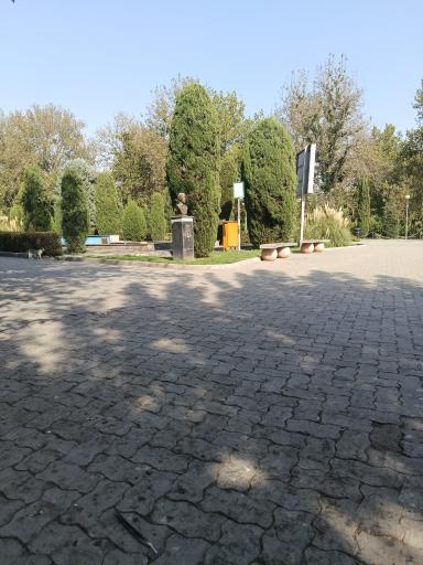 عکس بوستان لاله