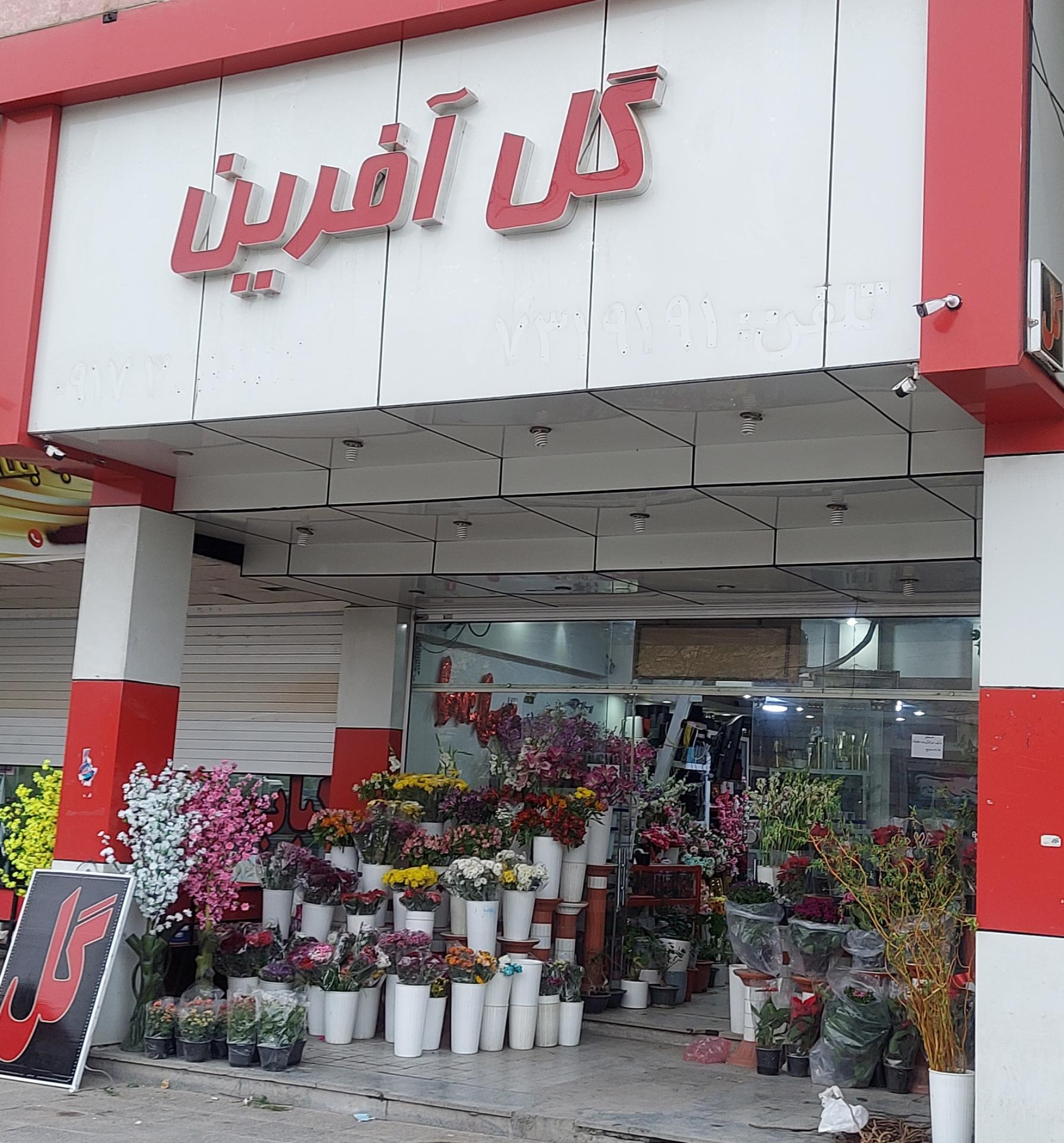 عکس گل آفرین