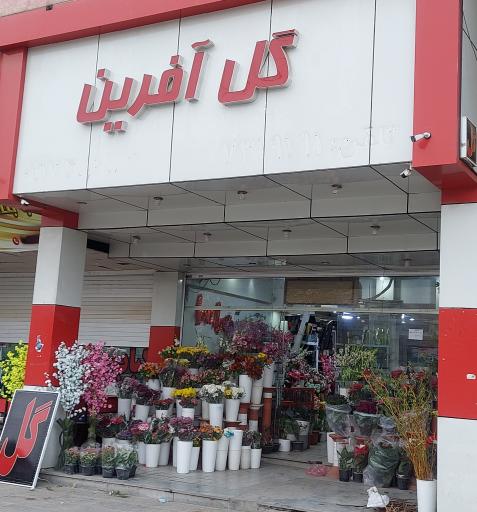 گل آفرین