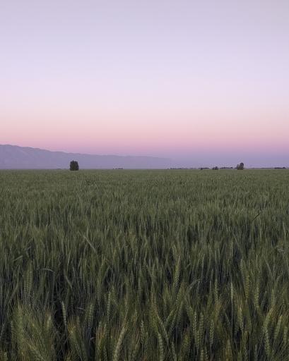 عکس علامرودشت