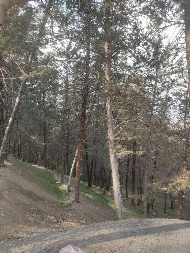 عکس بام شیان