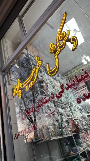 عکس دستکش غریب پور