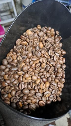 کافه پاتوق دایی امیر