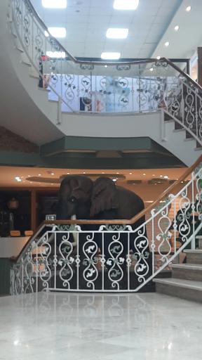 عکس کلینیک بینایی سنجی نور