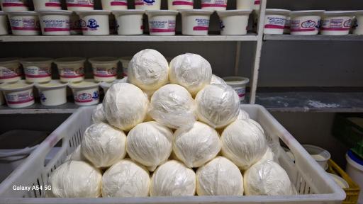 عکس لبنیات سنتی اکرمی