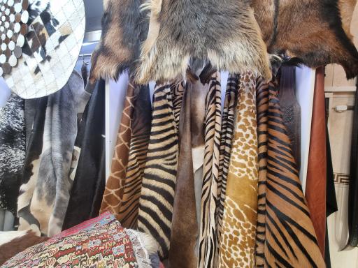 عکس چرم طریقت